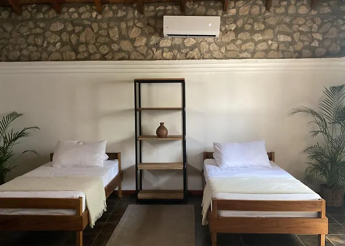 Dream Surf House Avellana